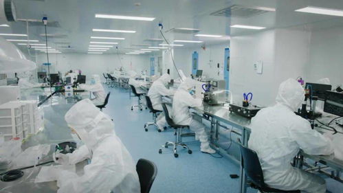 北芯生命递交招股书 拟募资12.74亿元，加速新材料技术研发与产业化进程