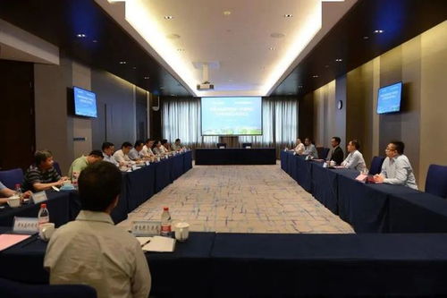 广西百色携手华润水泥，共绘钙基新材料与新型石材产业新蓝图